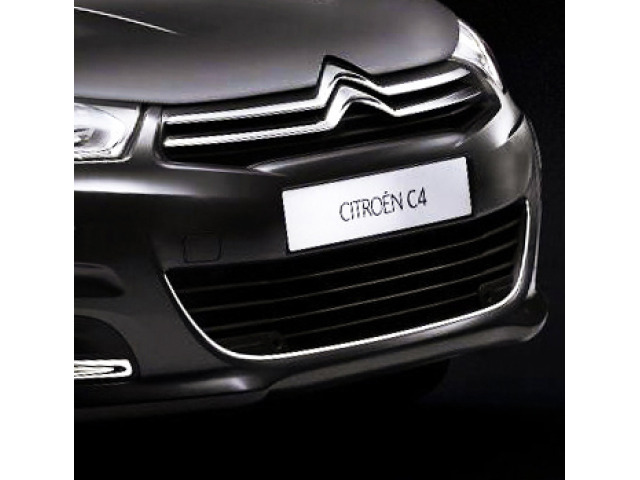 Chromleiste für KühlergrillKonturen Citroën C4 1126