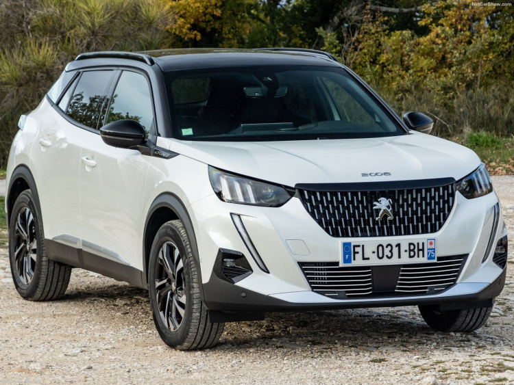 Chromleiste f&uuml;r K&uuml;hlergrill Peugeot 2008 19-26
