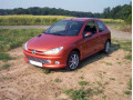 Chromleiste f&uuml;r K&uuml;hlergrill Peugeot 206 Peugeot 206 CC Peugeot 206 SW