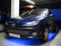 Chromleiste f&uuml;r K&uuml;hlergrill Peugeot 206 Peugeot 206 CC Peugeot 206 SW