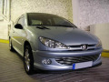 Chromleiste f&uuml;r K&uuml;hlergrill Peugeot 206 Peugeot 206 CC Peugeot 206 SW