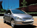 Chromleiste f&uuml;r K&uuml;hlergrill Peugeot 307 01-05 Peugeot 307 CC 01-05 Peugeot 307 SW 01-05