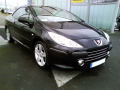 Chromleiste f&uuml;r K&uuml;hlergrill Peugeot 307 05-09 Peugeot 307 CC 05-09 Peugeot 307 SW 05-09