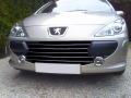 Chromleiste f&uuml;r K&uuml;hlergrill Peugeot 307 05-09 Peugeot 307 CC 05-09 Peugeot 307 SW 05-09