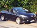 Chromleiste f&uuml;r K&uuml;hlergrill Peugeot 307 05-09 Peugeot 307 CC 05-09 Peugeot 307 SW 05-09
