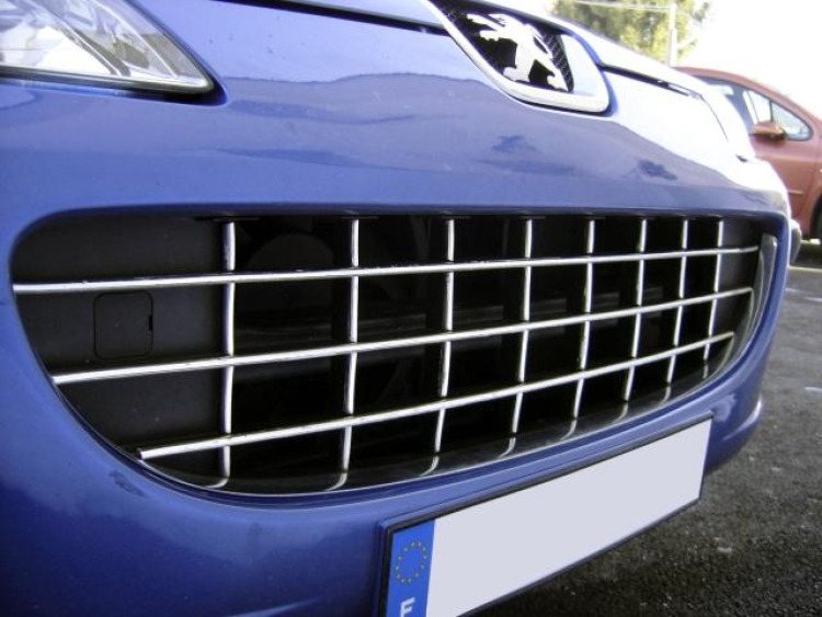 Chromleiste f&uuml;r K&uuml;hlergrill Peugeot 407 & Peugeot 407 SW