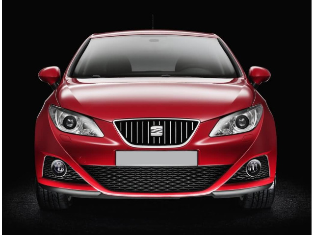 Chromleiste für Kühlergrill Seat Ibiza 0817  Seat Ibiza ST