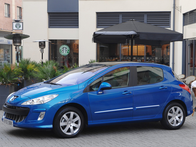 SeitenschutzChromzierleiste Peugeot 308 0713