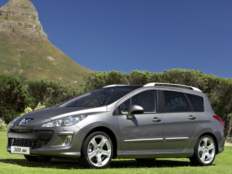 Seitenschutz-Chromzierleiste Peugeot 308 SW 08-14
