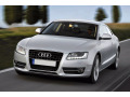 Zier-Chromleiste f&uuml;r Nebelscheinwerfer Audi A5 Cabriolet 09-11 Audi A5 Coup&eacute; 07-11 Audi A5 Sportback