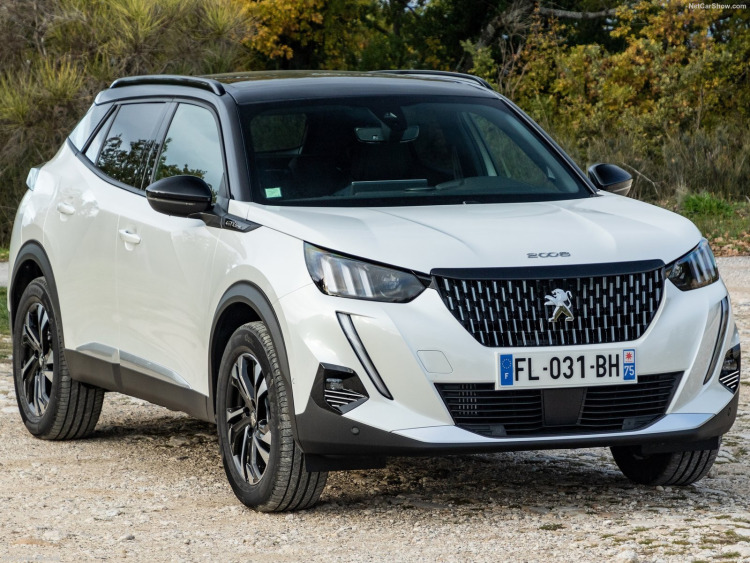 Zier-Chromleiste f&uuml;r Nebelscheinwerfer Peugeot 2008 19-26
