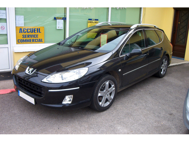 ZierChromleiste für seitliche Autofensterkonturen Peugeot 407 SW
