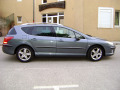 Zier-Chromleiste f&uuml;r seitliche Autofensterkonturen Peugeot 407 SW