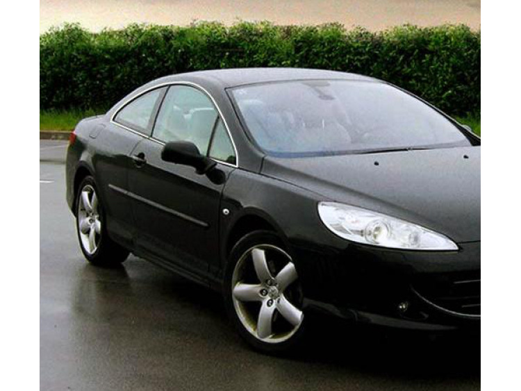 Zier-Chromleiste f&uuml;r seitliche Autofensterkonturen Peugeot 407