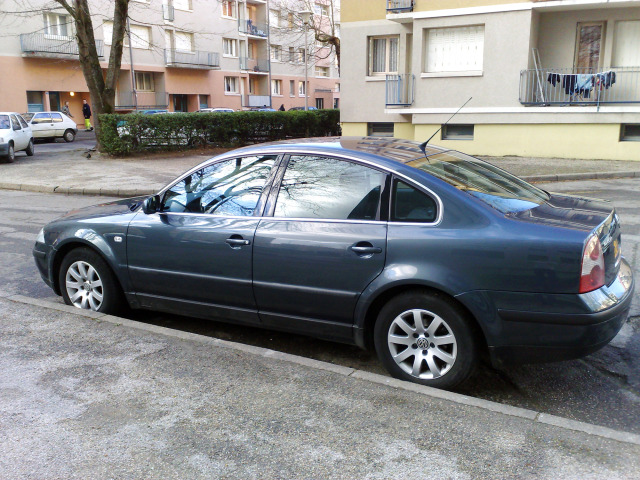 ZierChromleiste für seitliche Autofensterkonturen VW Passat 9505